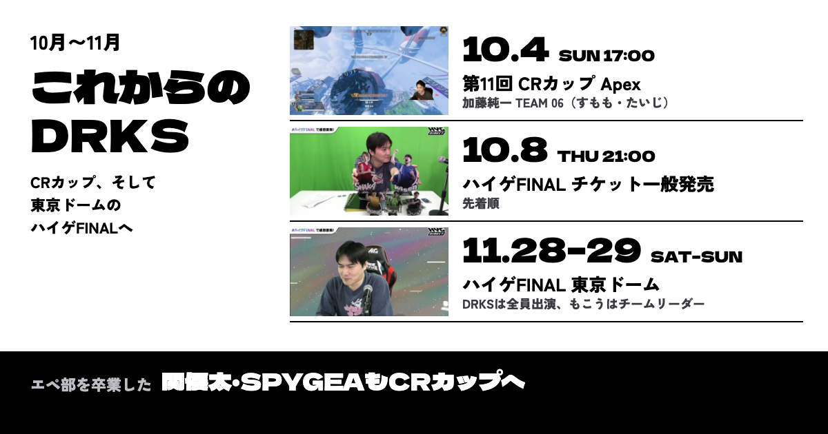 これからの予定